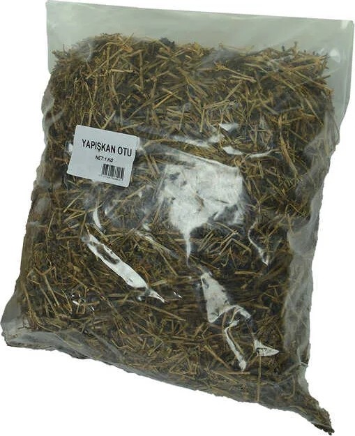 TeknoKapsül Yapışkan Otu Doğal 1000 gr Paket görsel 2