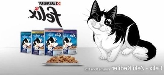 Die Grup Sığır & Tavuklu Kedi Yaş Mama - 26 x 85 gr Paket görsel 3