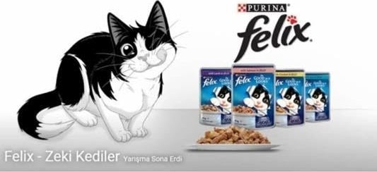 Die Grup Çifte Lezzet Sığır & Tavuklu Kedi Yaş Mama (26 x 85 Gr) görsel 3