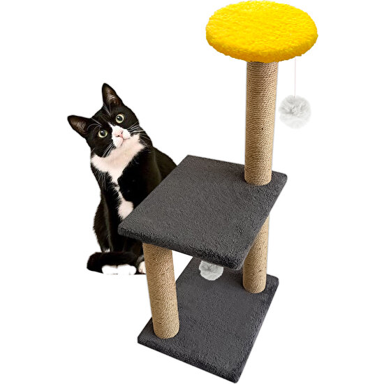 Patiderm Katlı Kedi Tırmalama Tahtası 80cm - Gri