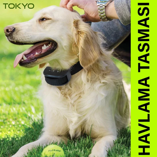 Tokyo Havlama Engelleyici Köpek Tasması, Pilli Havlama Tasması, Köpek Eğitimi, Bütün Köpekler Için