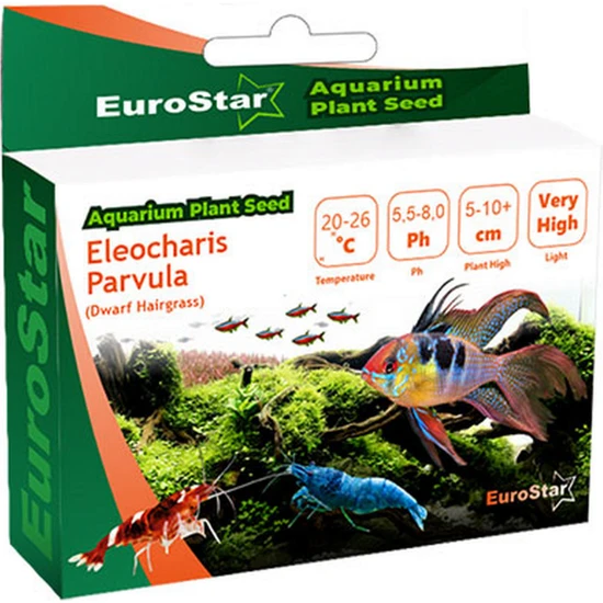Eurostar Bitki Tohumu Eleocharis Parvula 326107