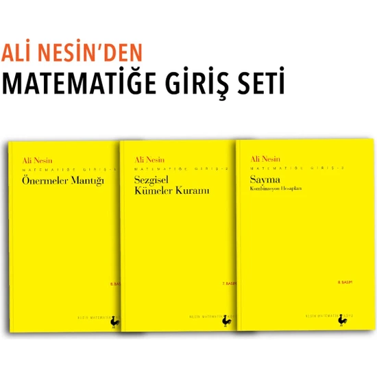 Nesin Yayınevi Matematiğe Giriş Seti