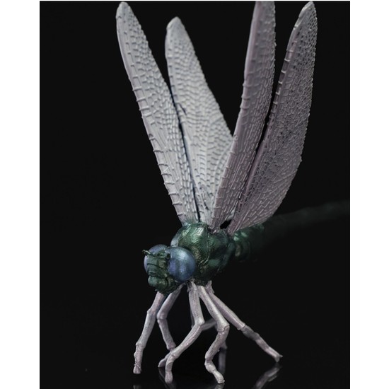 Wittex Augenbrauenpinzette – Schräge Spitze, 9,5 Cm, Für Präzises Zupfen & Perfekte Form
