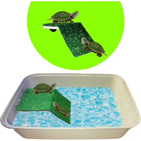 Mdizmir Büyük Kaplumbaga Bahçesi Habitat Akvaryum Teraryum ( Rampalı Dinlenme Alanlı ) 48*36*12