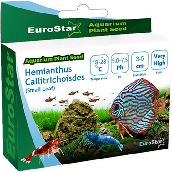 Eurostar Bitki Tohumu Hemianthus Callitrichoides 345109