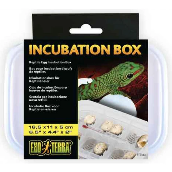 Exo Terra Incubation Box 345109