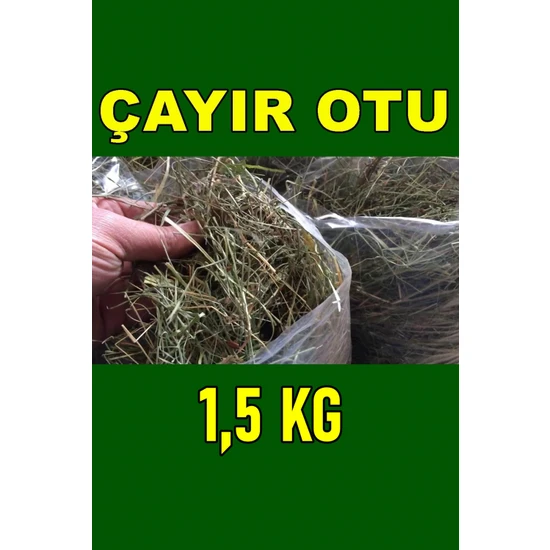 Arcan Ticaret Çayır Otu 1,5 kg Kemirgen Otu Çayırotu Tavşan Guinepig Yeşil Kuru Ot