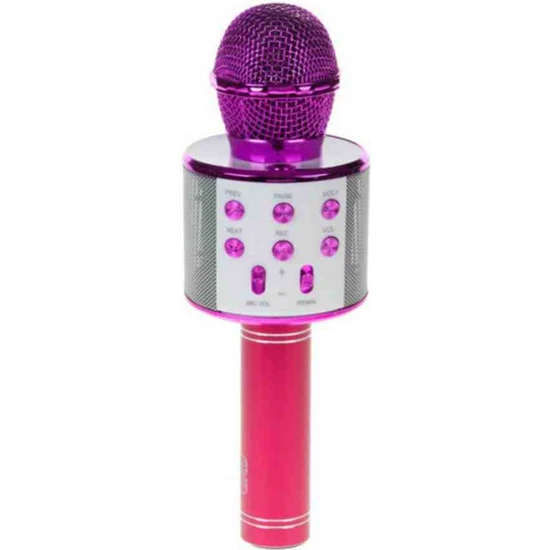 Subzero Türkçe Seslendirme Karaoke Mikrofon