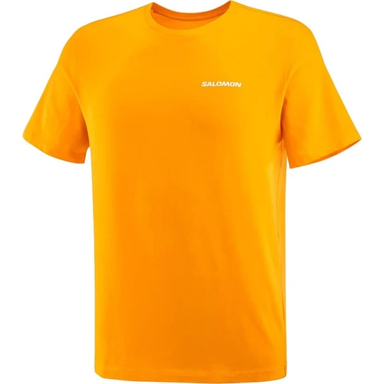 Salomon Graphic Perf Ss Tee Erkek T-Shirt