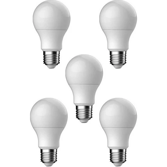Çokan 15 Watt LED Ampul Beyaz Işık Aydınlatma Lambası