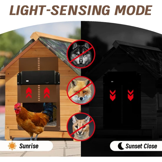 Silhouette Otomatik Tavuk Kümesi Kapısı Su Geçirmez Işık Sensörü Tavuk Kümes Kapısı Tavuk Kümesi Kapısı Otomatik Açma ve Kapama (Kırmızı) (Yurt Dışından)