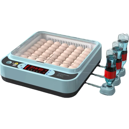 Efe Kuluçka Makineleri Kuluçka Makinesi Kaz Yumurtası Uyumlu