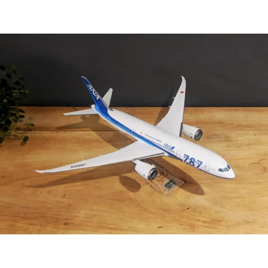 Baskılatte Boing 787 Uçak Maketi (12 Parça Halinde Boyasız Gönderilir)