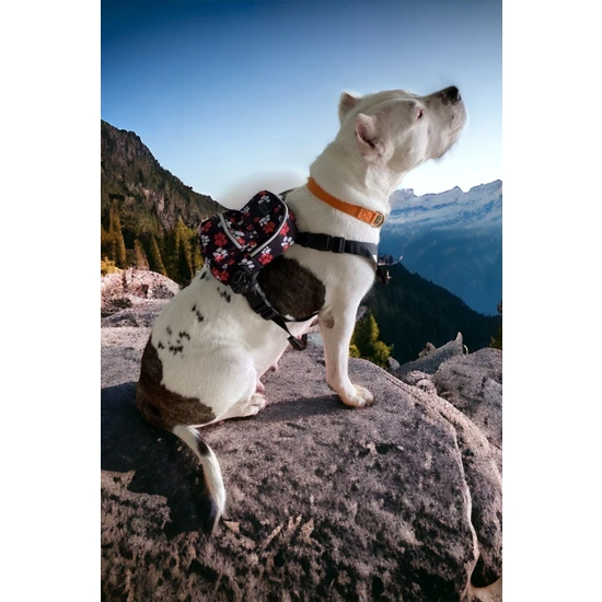 Foradels F-PL057-‘PAWS Up’ Serisi - Çok Yönlü Köpek Sırt Çantası & Göğüs Tasması