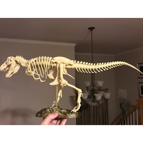 Dekor Dizayn T-Rex  3D Baskı