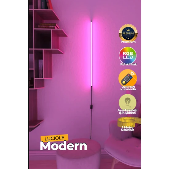 Luciole Uzaktan Kumandalı LED Lambader Yatak Üstü Tv Yanı Oturma Odası Rgb Çok Renkli  Lclmb1
