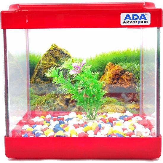 Ada Akvaryum Mini Akvaryum Kırmızı 20X20X15 Akvaryum  Renkli Çakıl  Plastik Bitki Arka Fon