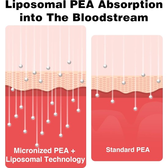 Rosmolo Palmitoylethanolamide Pea Liposomal 1000 Mg And Fiyatı