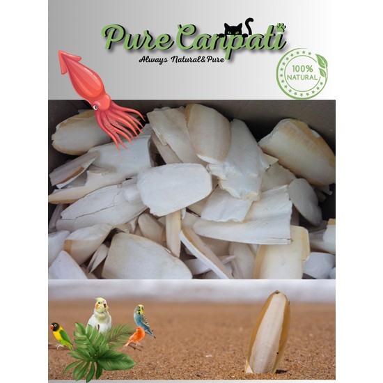 Purecanpati Kırıklı Iri Boy Kalamar Kemiği 100 gr