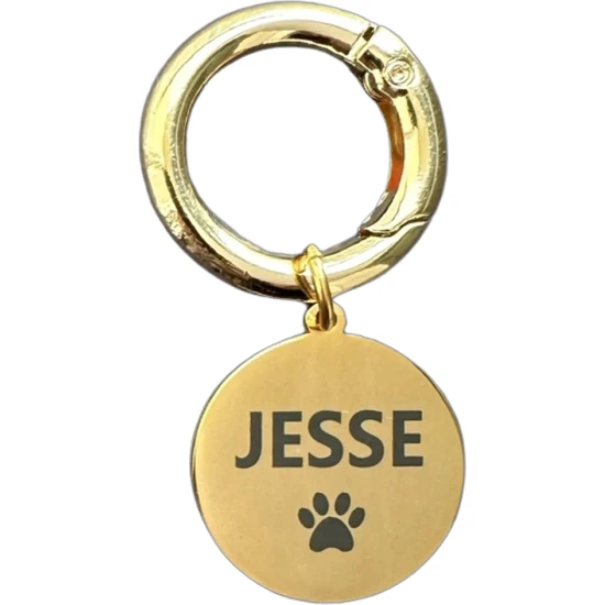 Jespawty Isimli Altın Rengi Çelik Kedi Köpek Künyesi (Kendi Künyeni Tasarla)