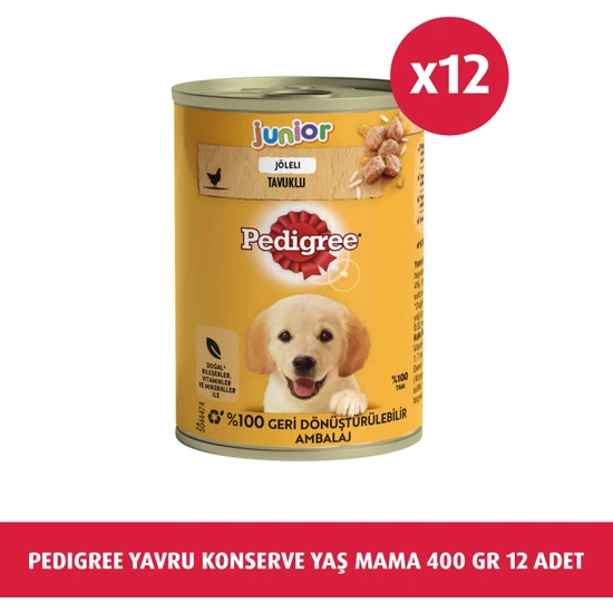 Pedigree Yavru Konserve Yaş Mama 400 G 12X