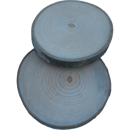 Ahşap Hobi Boyama Hediyelik Odun Kütük Dilimi 6-7 cm Çap (10 Adet)