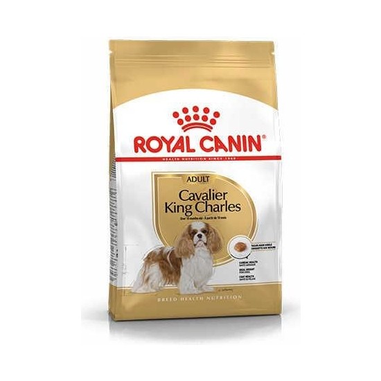 Royal Canin Cavalier Adult - Cavalier King Charles Köpek Maması 3 kg