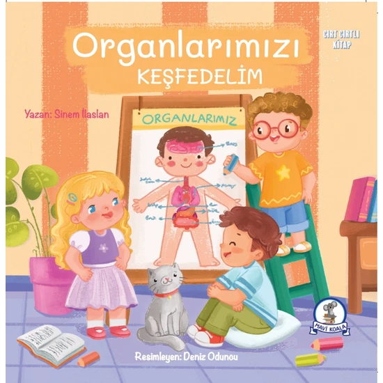 Organlarımızı Keşfedelim - Sinem İlaslan