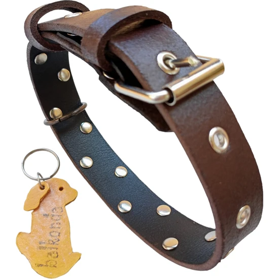 Balkonda Köpek Boyun tasması deri kahverengi zımbalı kalınlık:3mm genişlik:3cm boyun ölçüsü:L.36-45cm ayarlanabilir dog collar T1-27L