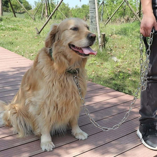 Ali'den Al Iri Irk (Bold Large) Köpek Bağlama Gezdirme Zinciri Tasma Zinciri +2 Karabina 3 Metre