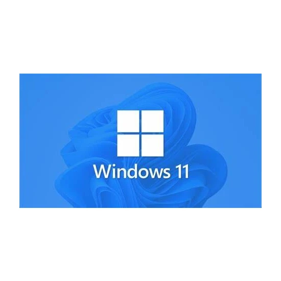 Data Windows 11 Pro Dijital Lisans