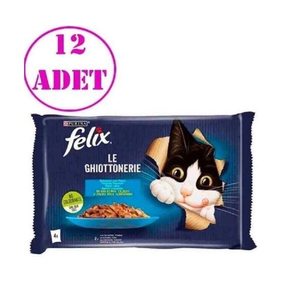 Felix Somonlu ve Ton Balıklı Yetişkin Kedi Yaş Maması 4 x 85 gr Ekonomik Paket 12 Adet