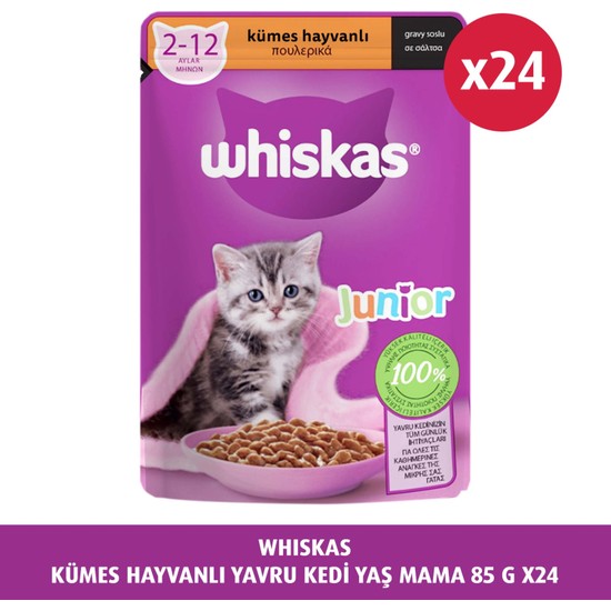 Whiskas Kümes Hayvanlı Yavru Kedi Yaş Mama 85 gr 24x