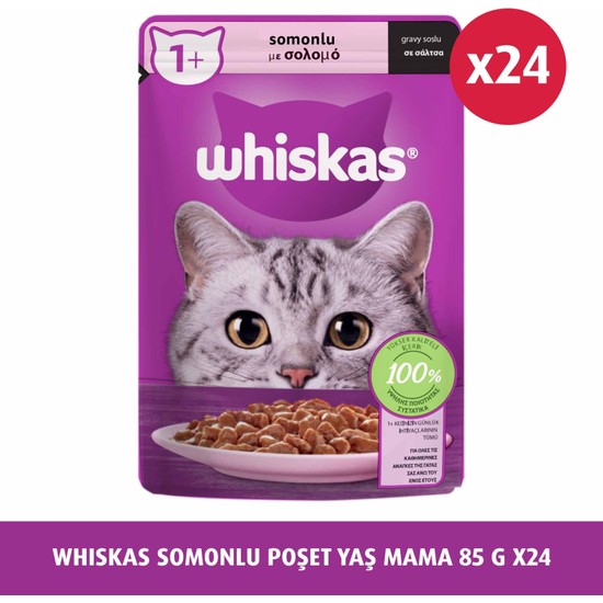 Whiskas Somonlu Yaş Kedi Maması 85 gr 24X Yetişkin Kediler İçin Besleyici İçerik
