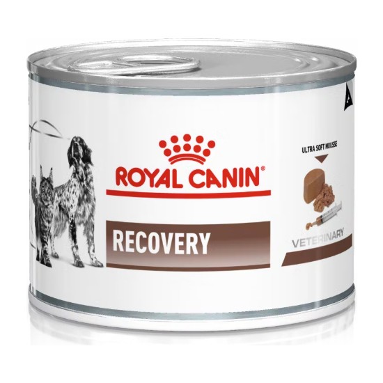 Royal Canin Recovery Pate Yoğun Bakım Maması 195 gr