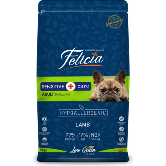 Felicia Az Tahıllı Yetişkin Kuzulu Small/Mini Köpek Maması 6 kg Hypoallergenic Lezzet