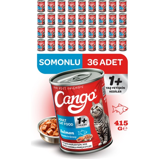 Cango Somonlu Yetişkin Yaş Kedi Maması 415 GR x 36