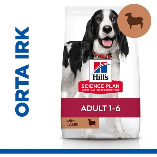 Hill's Hills Adult Kuzulu ve Pirinçli Orta Irk Yetişkin Köpek Maması 14 Kg