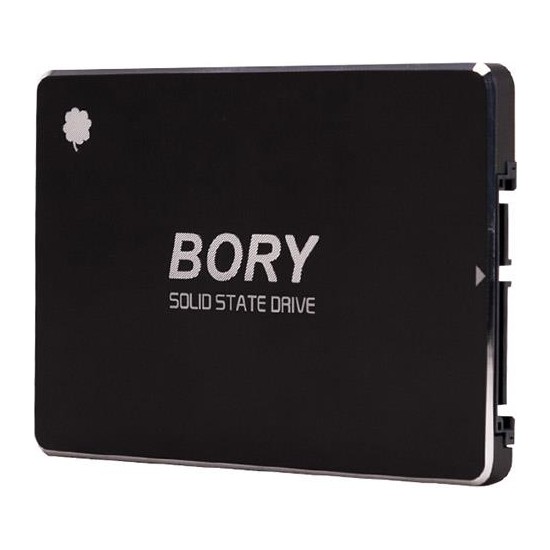 Bory 1 Tb Sata3 R500-C1T SSD 550/510 MB/s Kapasite ile Hızlı Okuma ve Yazma Performansı
