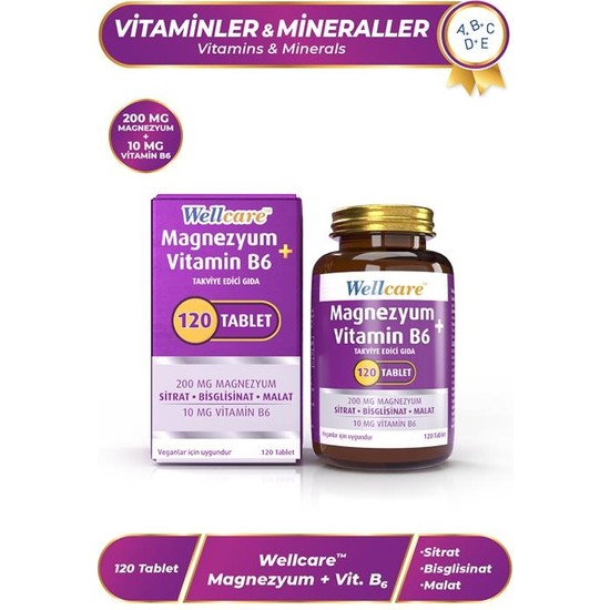 Wellcare Magnezyum + Vitamin B6 120 Tablet Takviye Edici Gıda Enerji Desteği Sağlar