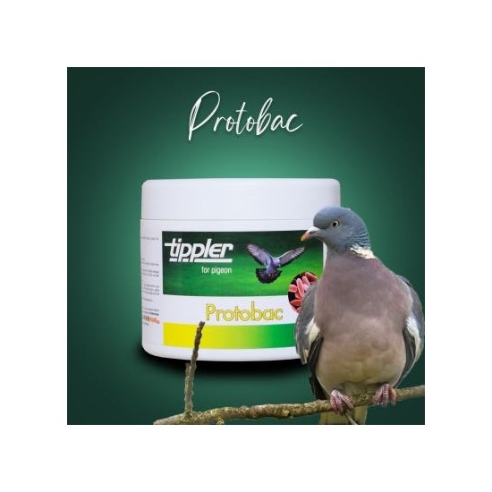 Tippler Protobac (Tüm kanatlılar(Güvercin, tavuk, ördek ) İshal Önleyici Yem protein takviyesi )