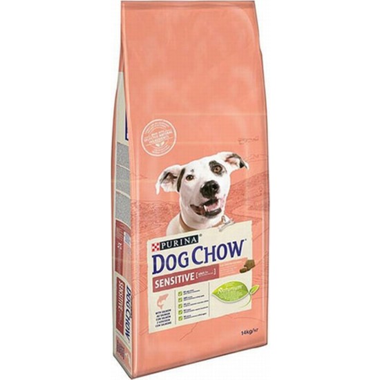 Dog Chow Yetişkin Somonlu Köpek Maması-14Kg