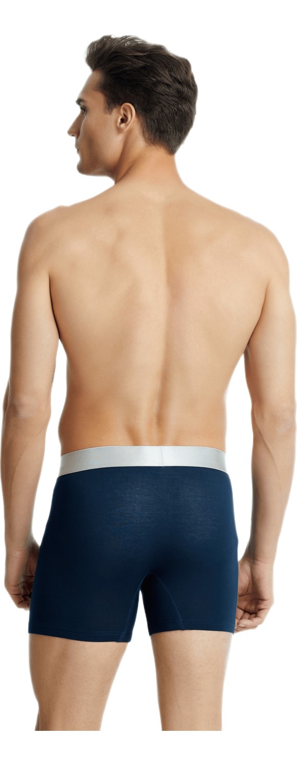 Blackspade Erkek Modal Elastan Boxer Silver 9303 - Siyah görsel 2