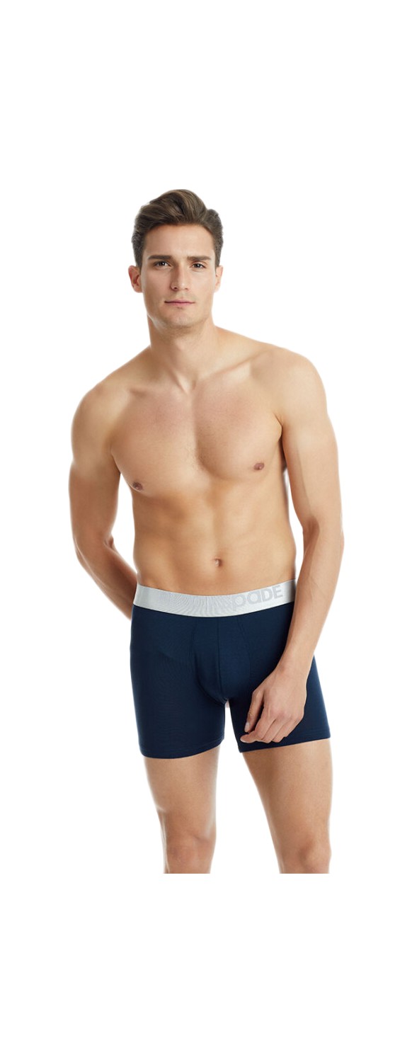 Blackspade Erkek Modal Elastan Boxer Silver 9303 - Siyah görsel 3