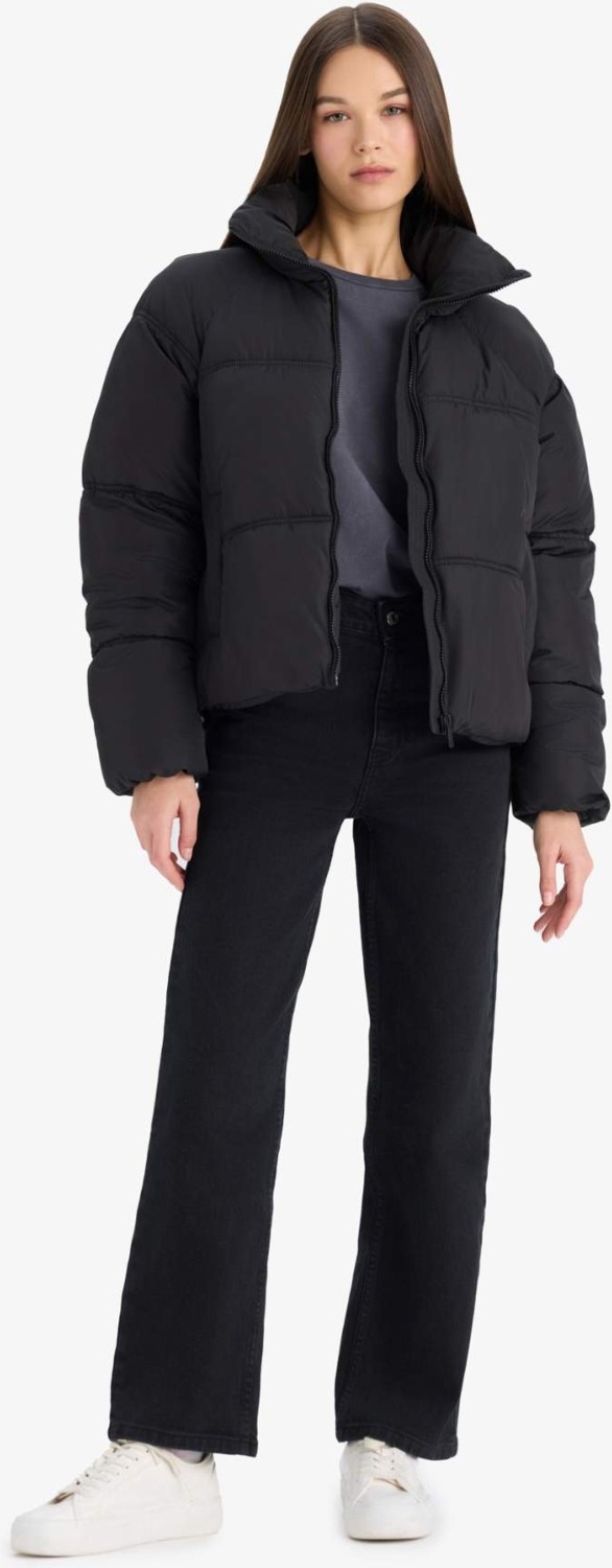 DeFacto Su İtici Regular Fit Dik Yaka Fermuarlı Şişme Mont E8690AX25AU görsel 2