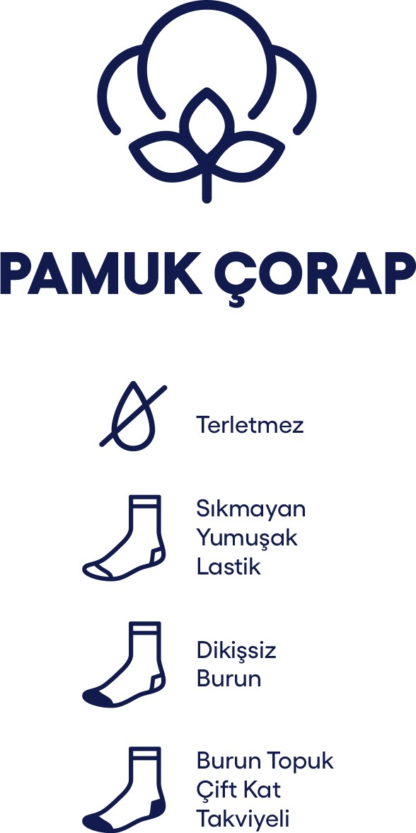 Kiğılı 3'lü Pamuklu Likralı Esnek Dikişsiz Çorap Seti görsel 3