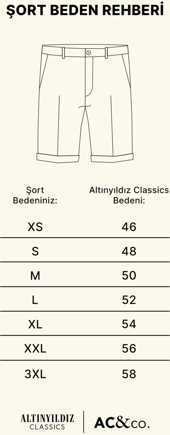 Altınyıldız Classics Erkek Taş Slim Fit Dar Kesim Armürlü %100 Pamuk Casual Chino Şort görsel 3