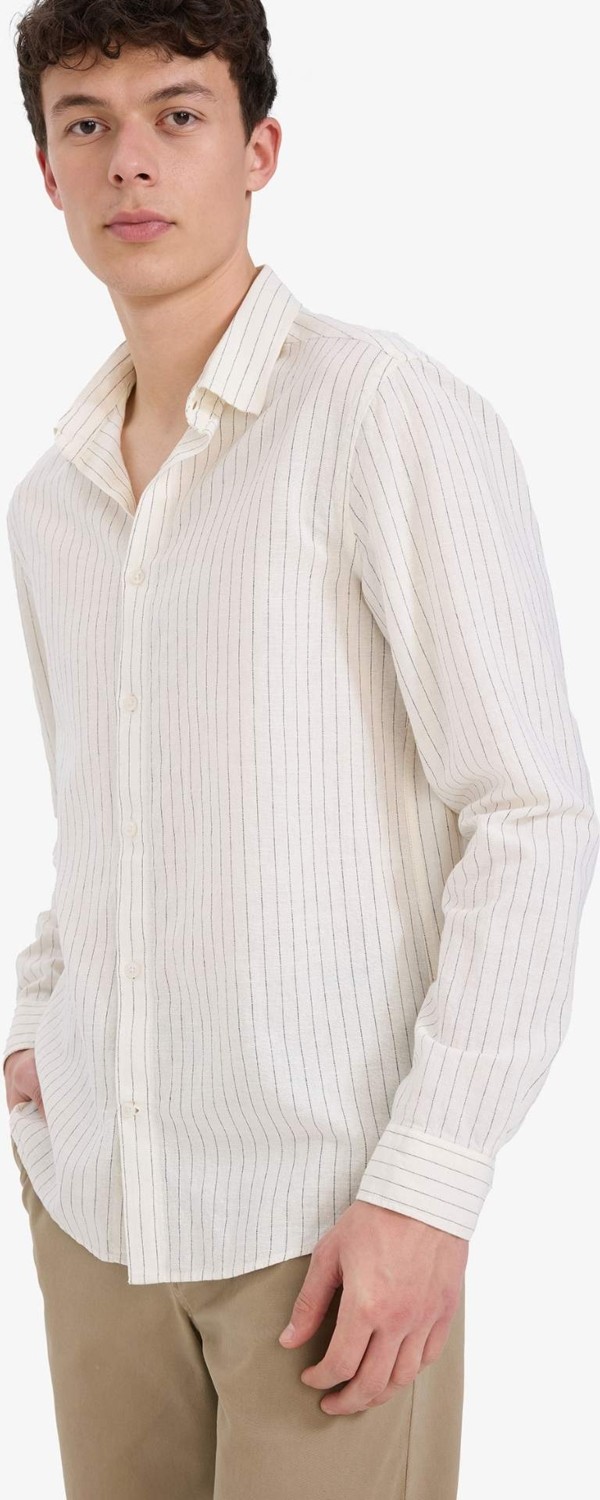 DeFacto Regular Fit Polo Yaka Çizgili Keten Yazlık Uzun Kollu Gömlek E1730AX25SP görsel 4