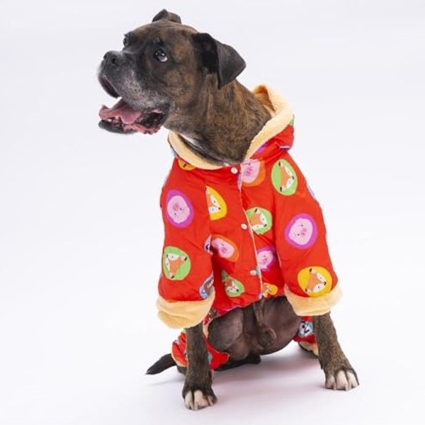 Odea Büyük Irk Köpekler Için Yağmurluk Mont - Turuncu Renk, 6xl görsel 3